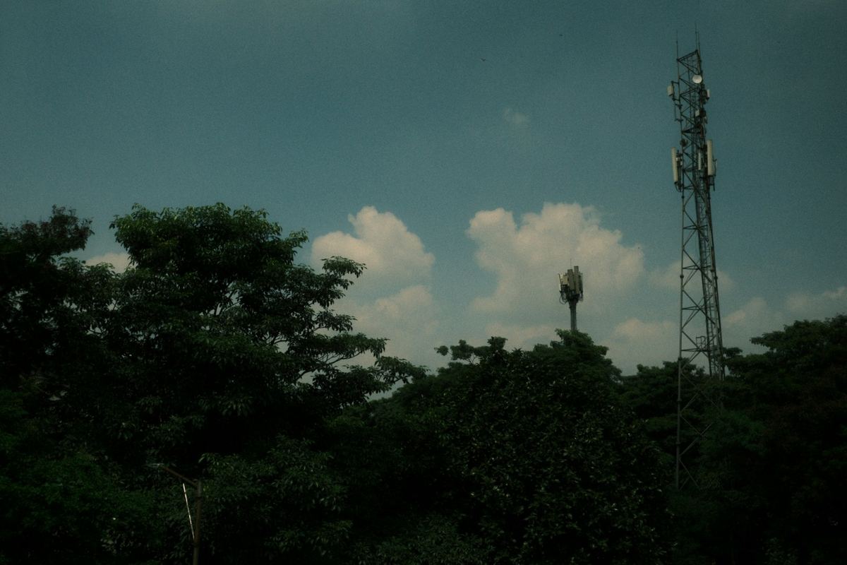 Cell tower above a rural treeline
